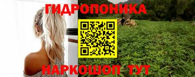 spice Краснодар