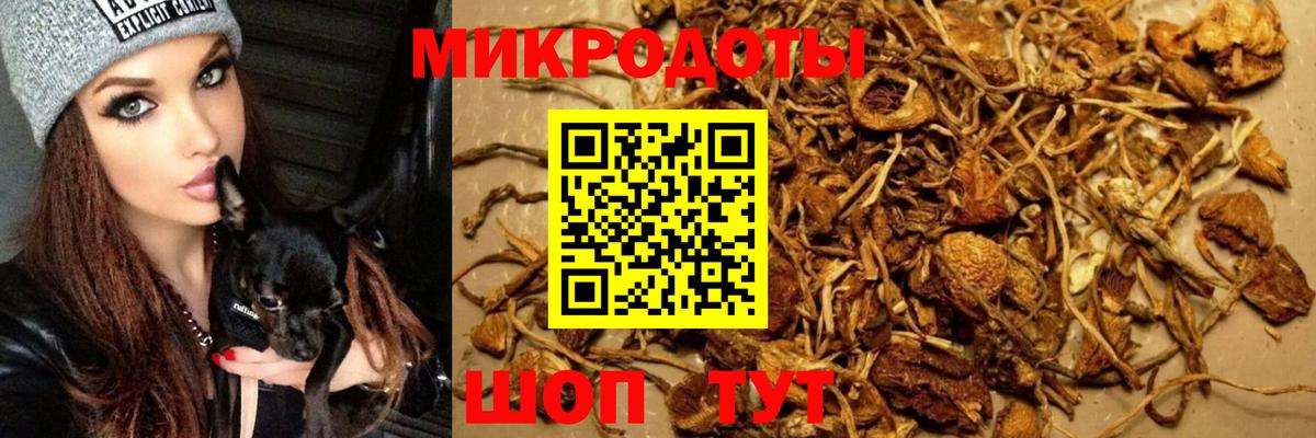 Кимры  как найти наркотики  Вход с VPN  Псилоцибиновые грибы мицелий 